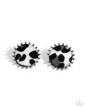 Load image into Gallery viewer, Cowhide Couture - Black Stud Earrings
