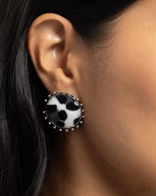 Load image into Gallery viewer, Cowhide Couture - Black Stud Earrings
